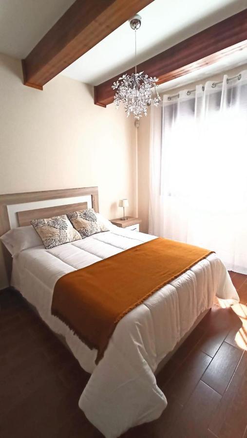 Botanic Suite מאלגה מראה חיצוני תמונה