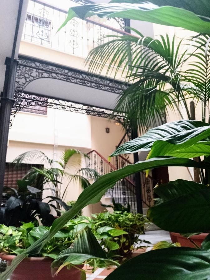 Botanic Suite מאלגה מראה חיצוני תמונה