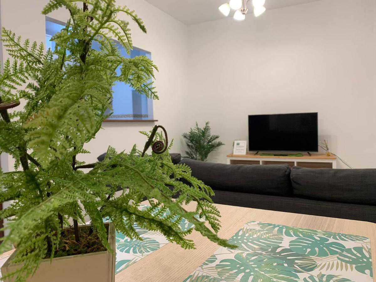 Botanic Suite מאלגה מראה חיצוני תמונה